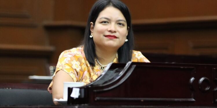 Eréndira Isauro presenta iniciativa para mejorar la ejecución de obras públicas en Michoacán