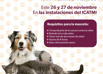 Anuncia SSM jornada de esterilización para perros y gatos en Quiroga