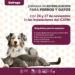 Anuncia SSM jornada de esterilización para perros y gatos en Quiroga