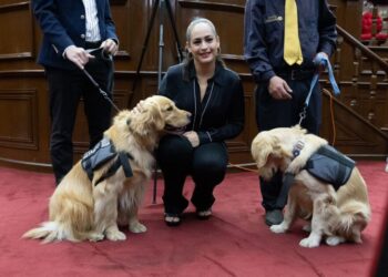 Impulsa Sandra Arreola reforma en favor de las personas con discapacidad en la entidad-Morelia Informativo