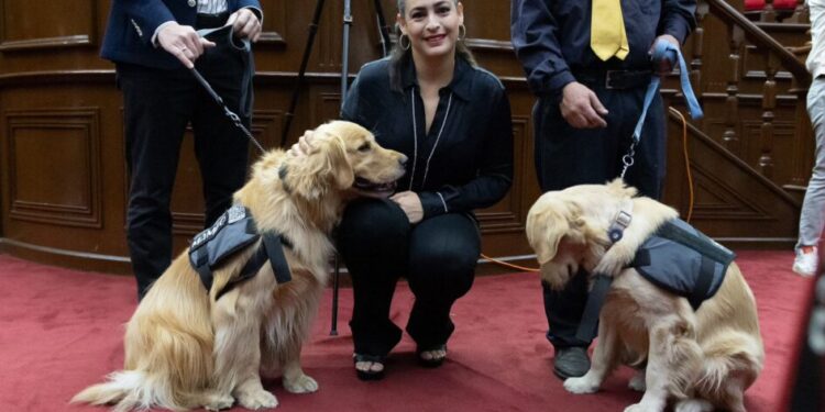 Impulsa Sandra Arreola reforma en favor de las personas con discapacidad en la entidad-Morelia Informativo