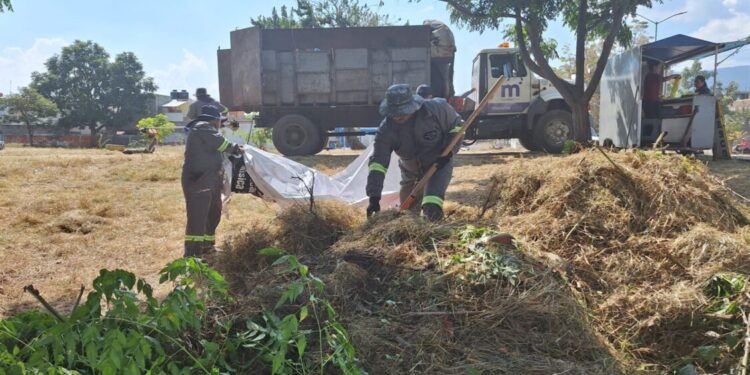 Jornadas Integrales en Fraccionamiento Villa Magna-Morelia Informativo