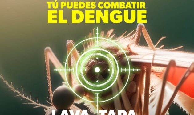 Síntomas del Dengue-Morelia Informativo
