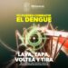 Síntomas del Dengue-Morelia Informativo