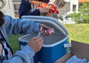 Jornadas Integrales en colonia Ocolusen-Morelia Informativo