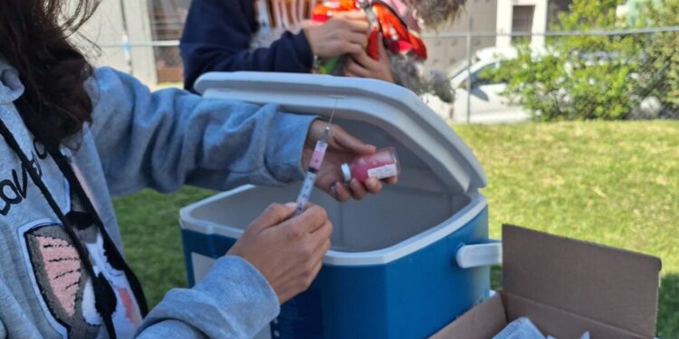 Jornadas Integrales en colonia Ocolusen-Morelia Informativo