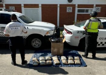 SSP y Guardia Nacional decomisan más de 10 kg de mariguana en Uruapan