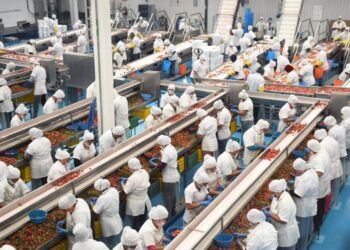 Michoacán sumó casi 8 mil nuevos empleos en octubre: Sedeco