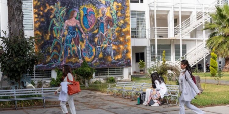 Egresadas y egresados nicolaitas ponen en alto a la UMSNH; reciben Premio Ceneval al Desempeño de Excelencia-EGEL-Morelia Informativo