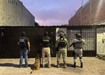 En cateo realizado en la colonia Ejidal Isaac Arriaga, en Morelia, asegura FGE 950 dosis de narcótico; hay un detenido