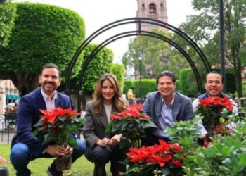 Miles de nochebuenas comienzan a decorar Morelia para época decembrina