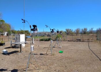 Optimizar la producción de aguacate y orientarla a un enfoque sostenible, objetivo de proyecto de investigación de la UMSNH