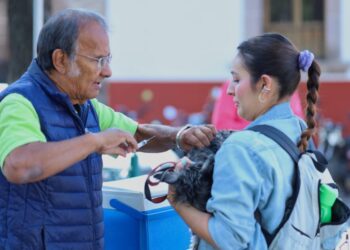 Anuncia SSM vacunación antirrábica para perros y gatos, en Morelia