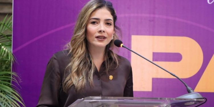 Brissa Arroyo-Morelia Informativo