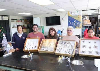 Proyecto "bichos en todos lados"-Morelia Informativo