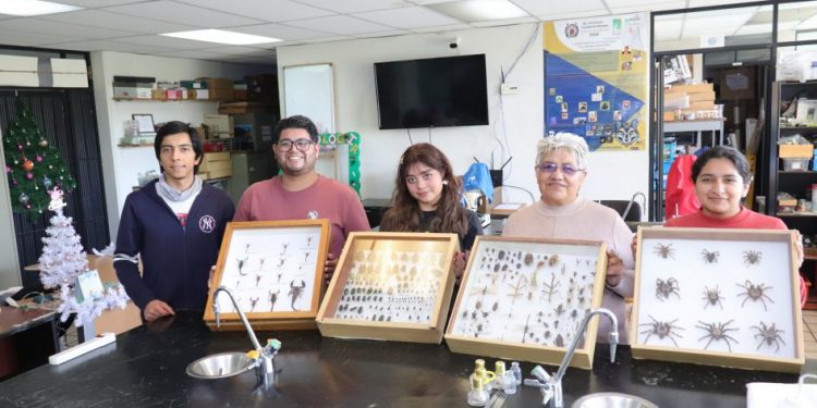 Proyecto "bichos en todos lados"-Morelia Informativo