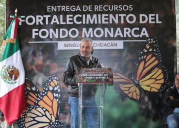 Michoacán celebra que EUA asuma responsabilidad del cuidado de la Monarca: Bedolla