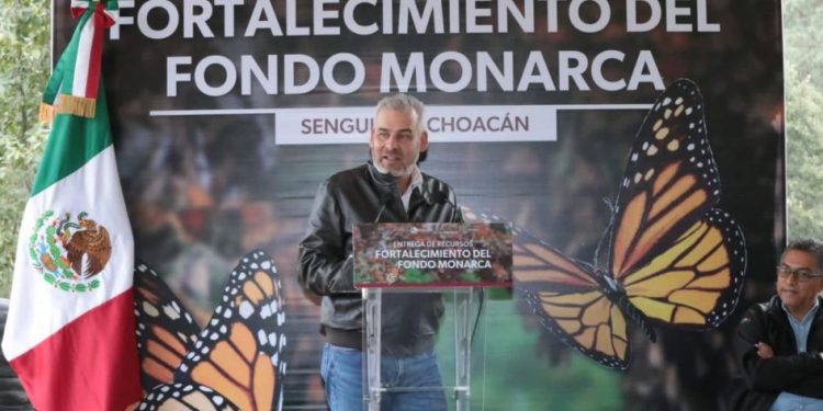 Michoacán celebra que EUA asuma responsabilidad del cuidado de la Monarca: Bedolla
