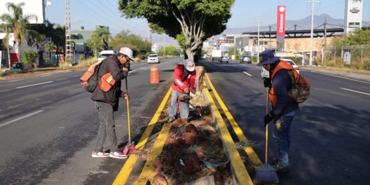Brigadas de Morelia intervienen camellones del Libramiento Sur