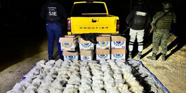 En 2024, SSP decomisó más de mil 700 kilos de drogas