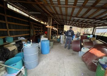 Desmantelan en Tzitzio laboratorio de droga con valor de 3 mil mdp: SSP