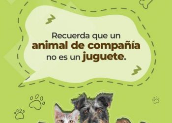 Llama la CEDH Michoacán, a responsabilizarnos en cuanto a regalar animales de compañía en estas fiestas de fin de año