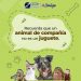 Llama la CEDH Michoacán, a responsabilizarnos en cuanto a regalar animales de compañía en estas fiestas de fin de año