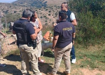 En San José de las Torres, rescata FGE a 15 ejemplares caninos en condiciones de maltrato animal