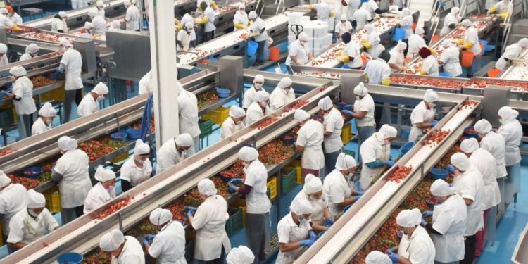 Michoacán, entre los 10 estados con más generación de empleo: Sedeco