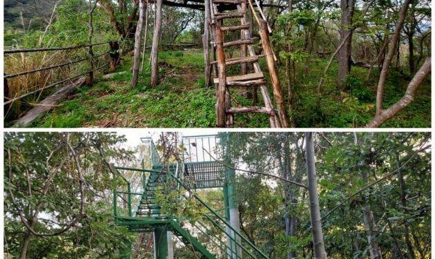 Michoacán destinó más de medio mdp del Fondo Ambiental en acciones de conservación