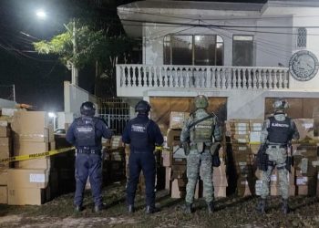 Más de media tonelada de marihuana fue asegurada por la SSP, en Arteaga