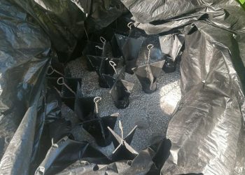 Se localizan y destruyen en Tierra Caliente 60 explosivos para dron y campamentos ilícitos: SSP