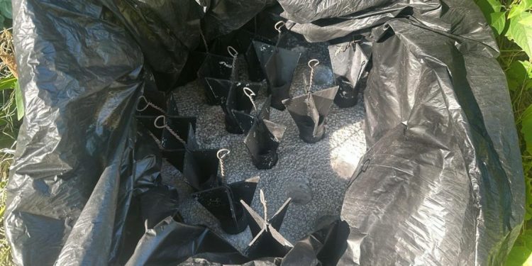 Se localizan y destruyen en Tierra Caliente 60 explosivos para dron y campamentos ilícitos: SSP