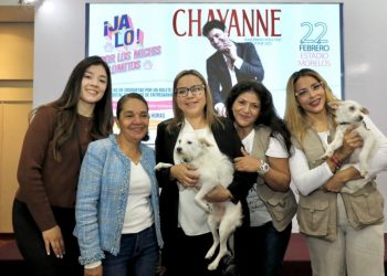 Festival Jalo garantizará alimento por un año para 130 refugios de michis y lomitos: Bedolla