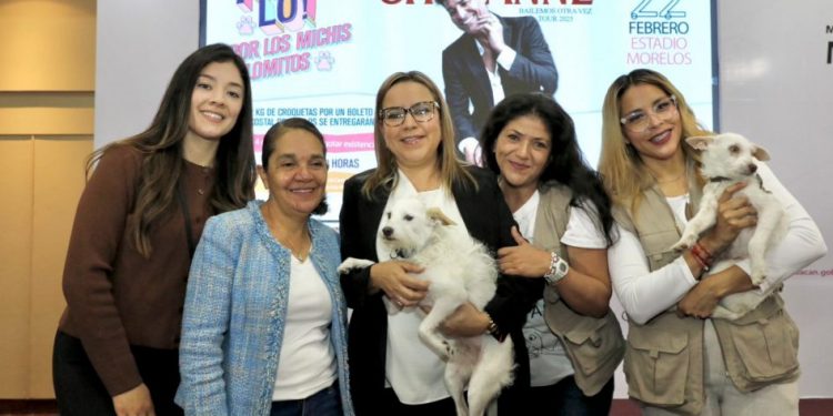 Festival Jalo garantizará alimento por un año para 130 refugios de michis y lomitos: Bedolla