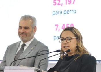 Jalo por los Michi y Lolitos lleva esterilizaciones gratuitas de perros y gatos