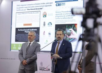 Impulsan ONG certificación de aguacate michoacano en EUA