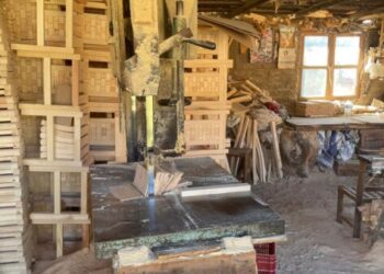 Presentan Convocatoria para la “Condecoración a la Mujer Michoacana 2025”.