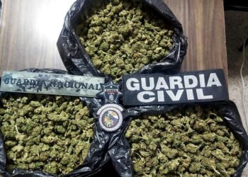 Detenido un hombre con más de 3 kg de mariguana en Morelia: SSP