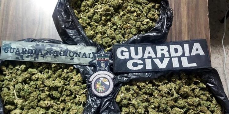 Detenido un hombre con más de 3 kg de mariguana en Morelia: SSP