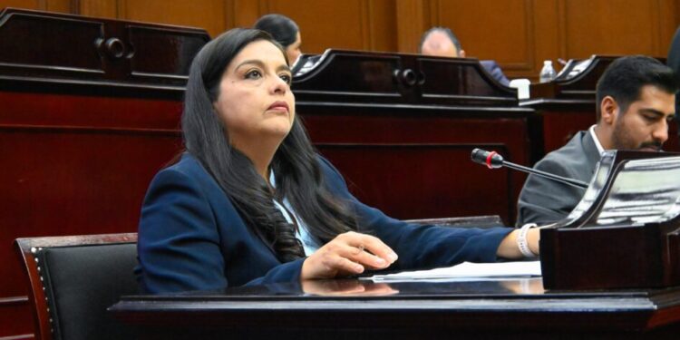 Exhorta diputada Tere Herrera a Ejecutivo estatal a establecer plan emergente en Michoacán