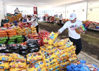 Entregadas a refugios casi 60 toneladas de croquetas para michis y lomitos: Paula Espinosa