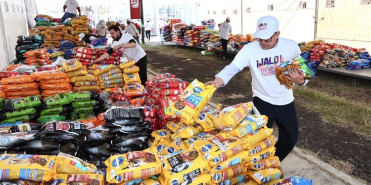 Entregadas a refugios casi 60 toneladas de croquetas para michis y lomitos: Paula Espinosa
