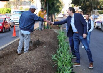 Alfonso Martínez supervisa rehabilitación de camellón en Artilleros del 47