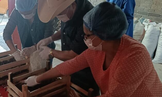 Secretaría de Agricultura y Desarrollo Rural de Morelia capacita en cultivo de hongo seta