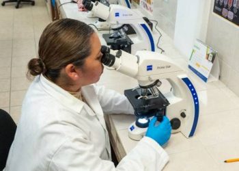 ¿Eres estudiante de la UMSNH y te gustaría realizar una estancia de investigación?, participa en el Programa Delfín