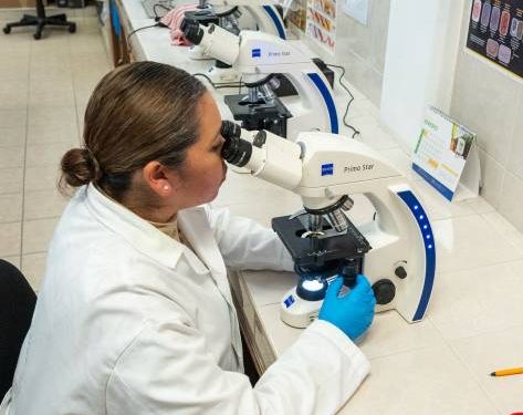 ¿Eres estudiante de la UMSNH y te gustaría realizar una estancia de investigación?, participa en el Programa Delfín