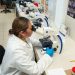 ¿Eres estudiante de la UMSNH y te gustaría realizar una estancia de investigación?, participa en el Programa Delfín