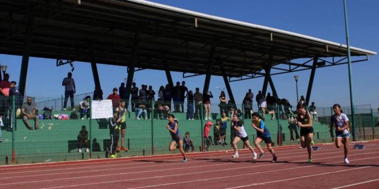 Quedaron definidos las y los atletas nicolaitas que calificaron al regional de la Universiada 2025