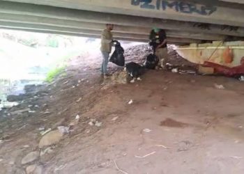 Gobierno de Morelia interviene bajo puentes de Av. Solidaridad